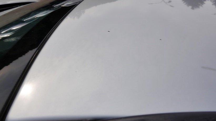 CE